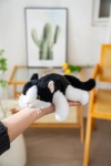 Authentic Very Precious plush toy, 18cm, Xiangxiang three-posture black and white cat doll, popular Xiangxiang animal doll, cute doll table companion, gift cloth doll details Picture